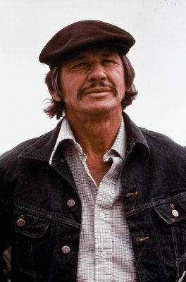 Mr. Majestyk - Charles Bronson