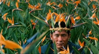 forráspont - takeshi beat kitano