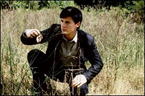 twin peaks - kyle maclachan