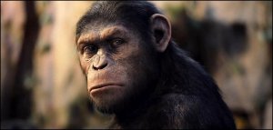 a majmok bolygója - a lázadás