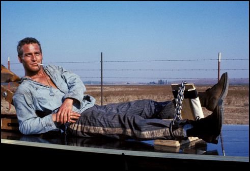 bilincs és mosoly - paul newman