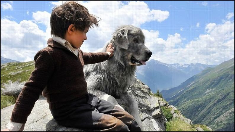 belle és sébastien
