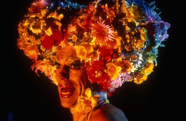 priscilla-hugo-weaving